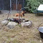 Casa de Férias Behagliches Haus Mit Kamin Und Waermepumpe Hohenthurm