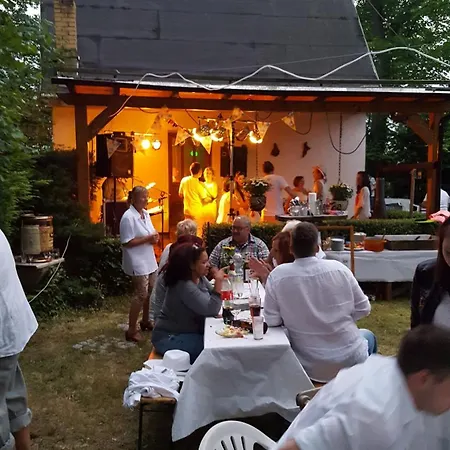 Behagliches Haus Mit Kamin Und Wärmepumpe * Hohenthurm