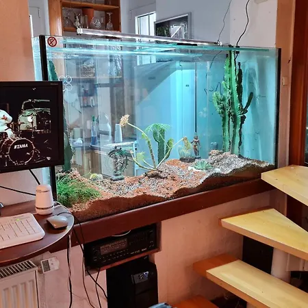 Behagliches Haus Mit Kamin Und Waermepumpe 別荘