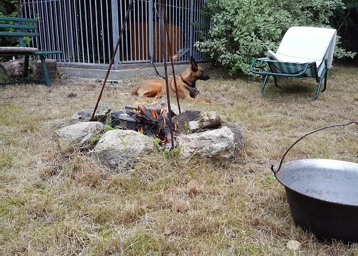 別荘 Behagliches Haus Mit Kamin Und Waermepumpe Hohenthurm